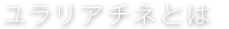 ユラリアチネとは